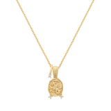 Capricorn Amulet Necklace