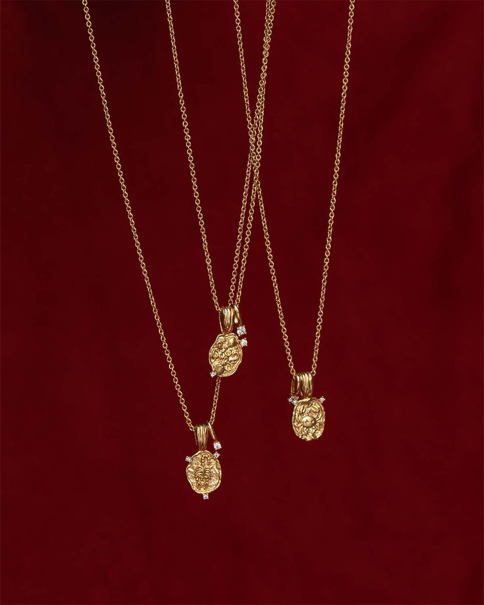 Pisces Amulet Necklace