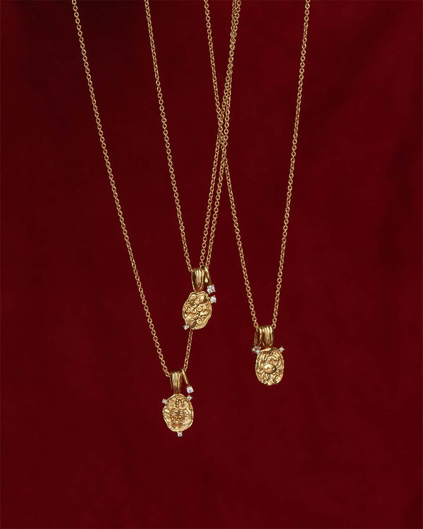 Aquarius Amulet Necklace