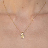 Aquarius Amulet Necklace