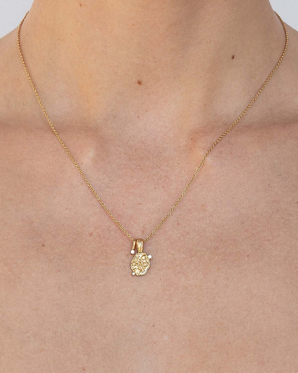 Aquarius Amulet Necklace