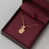Aquarius Amulet Necklace