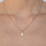 Aries Amulet Necklace