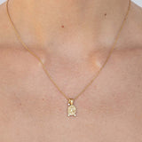 Capricorn Amulet Necklace