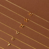 Collar pequeño con número 33