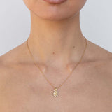 Pisces Amulet Necklace