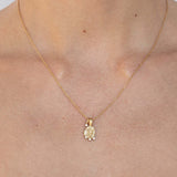 Pisces Amulet Necklace