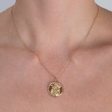 Capricorn Zodiac Necklace