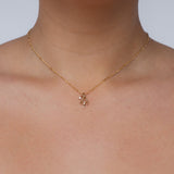 Aries Horoscope Necklace