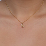 Pisces Horoscope Necklace
