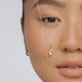 Aquarius Horoscope Necklace