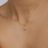 Pisces Horoscope Necklace