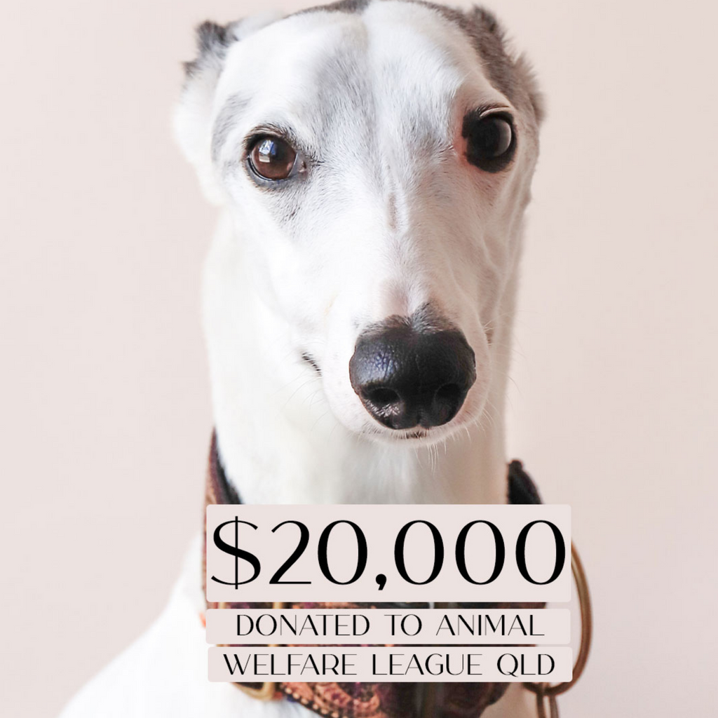 Giving Back To Animal Welfare League QLD