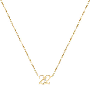 Petite 22 Numeral Necklace