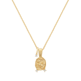 Collar amuleto de Capricornio
