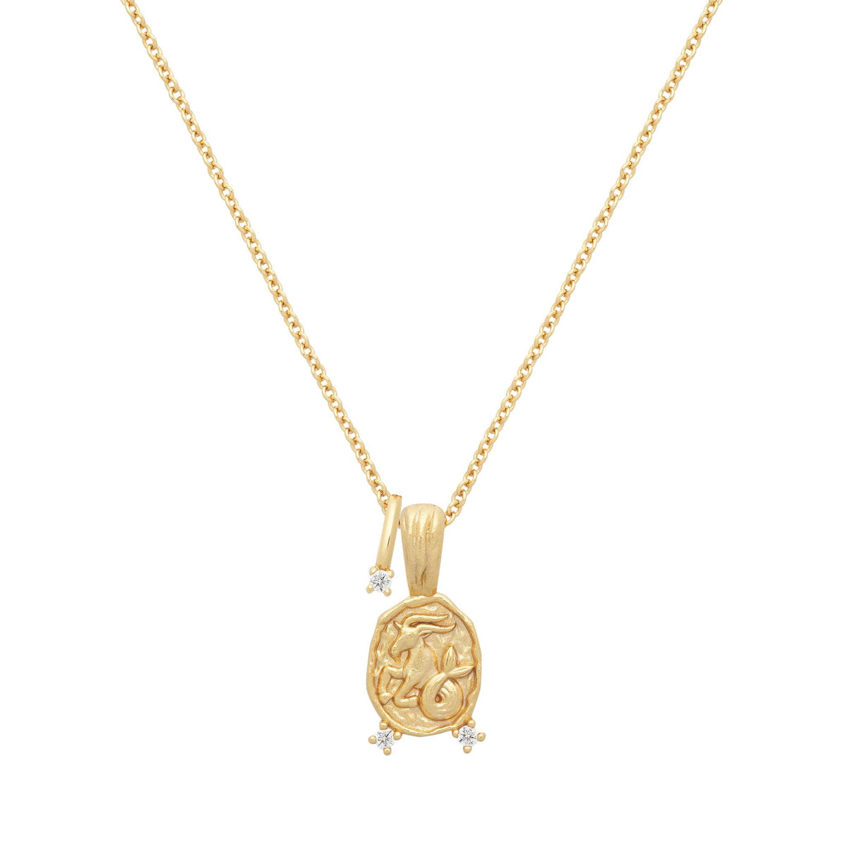 Capricorn Star Sign Gold Necklace