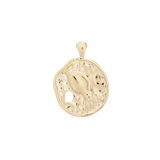 ‍Large Zodiac II Pendant (100% off)