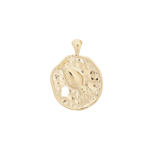 ‍Large Zodiac II Pendant (100% off)