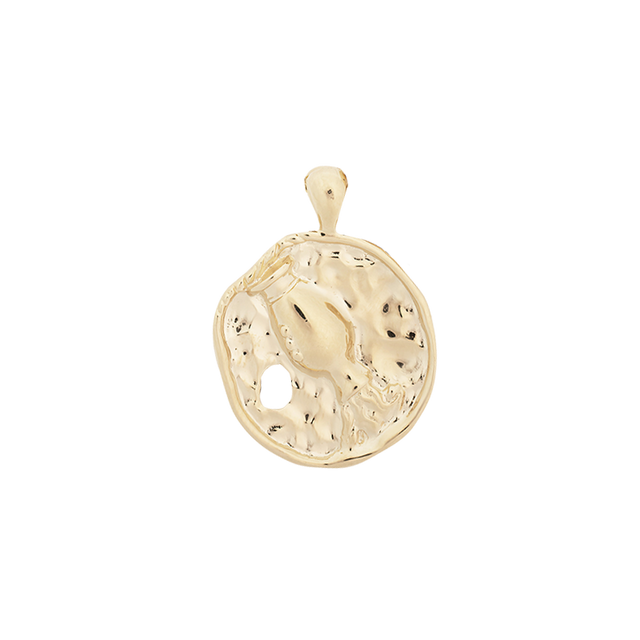 ‍Large Zodiac II Pendant (100% off)