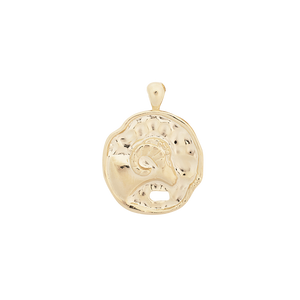 ‍Large Zodiac II Pendant (100% off)