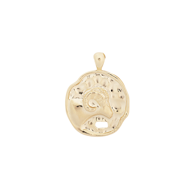 ‍Large Zodiac II Pendant (100% off)