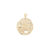 ‍Large Zodiac II Pendant (100% off)