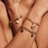 Charm Link Bracelet