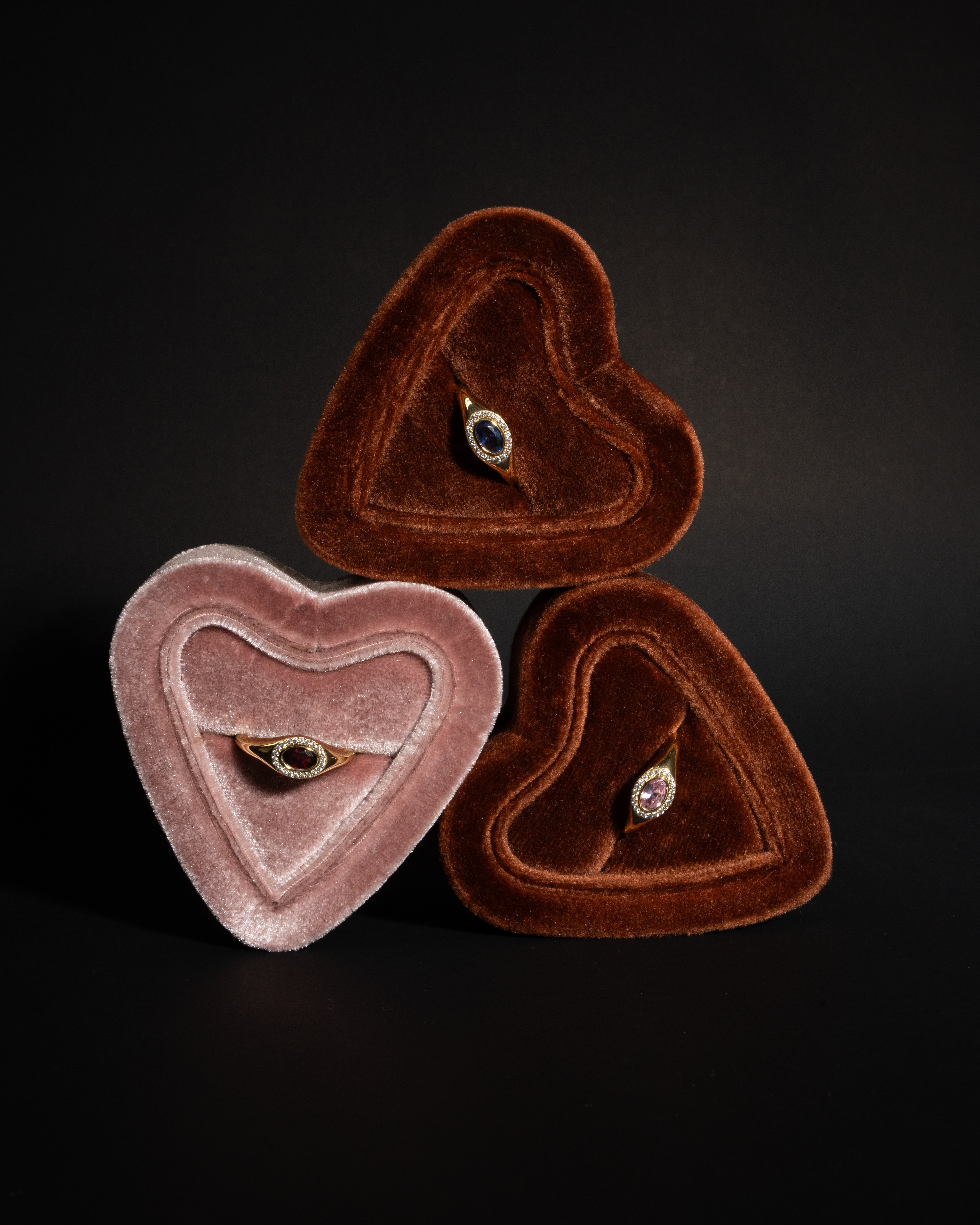 Birthstone Signet Rings lifestyle