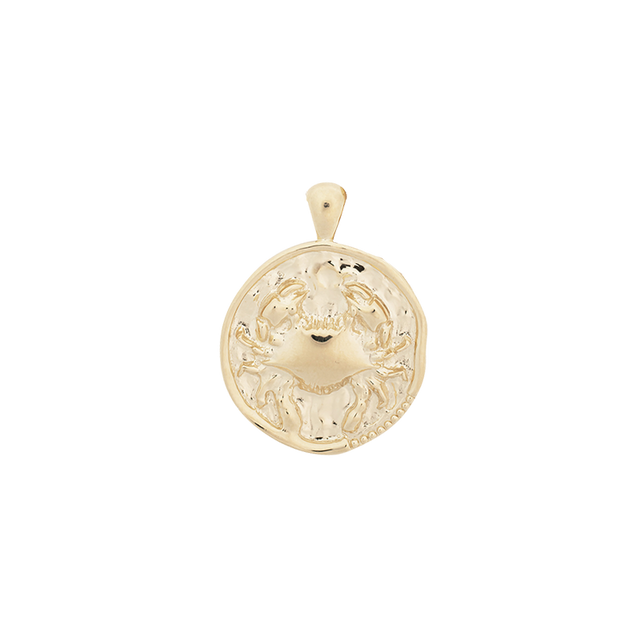 ‍Large Zodiac II Pendant (100% off)