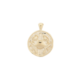 ‍Large Zodiac II Pendant (100% off)