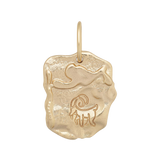 Capricorn Astrology Pendant