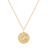 Capricorn Zodiac Necklace
