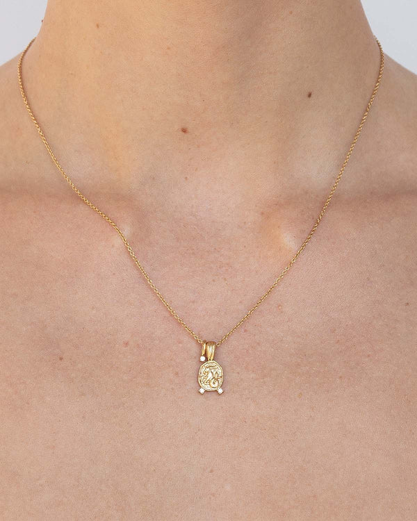 Capricorn Amulet Necklace