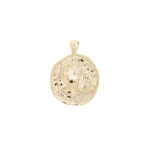 ‍Large Zodiac II Pendant (100% off)