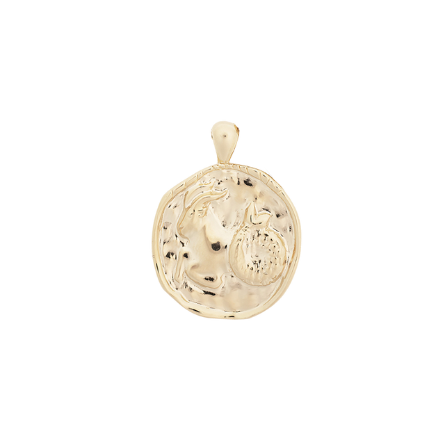 ‍Large Zodiac II Pendant (100% off)