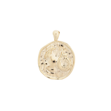‍Large Zodiac II Pendant (100% off)