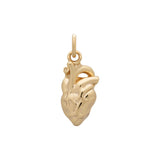 Organ Heart Charm