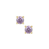 ‍Petite Gem Studs (100% off)