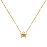 ‍Lucky Star Necklace (100% off)