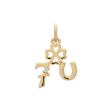 Luck Charm