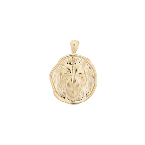 ‍Large Zodiac II Pendant (100% off)