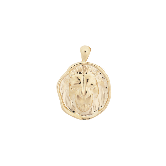 ‍Large Zodiac II Pendant (100% off)