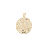 ‍Large Zodiac II Pendant (100% off)