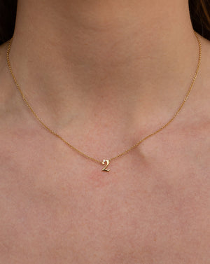 Petite 2 Numeral Necklace