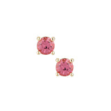 ‍Petite Gem Studs (100% off)