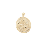 ‍Large Zodiac II Pendant (100% off)