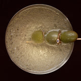 Evil Eye Signet Ring Lab Grown Diamond | 9k Solid Gold