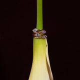 Evil Eye Signet Ring Lab Grown Diamond | 9k Solid Gold