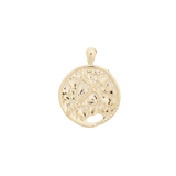 ‍Large Zodiac II Pendant (100% off)