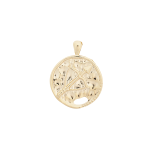 ‍Large Zodiac II Pendant (100% off)